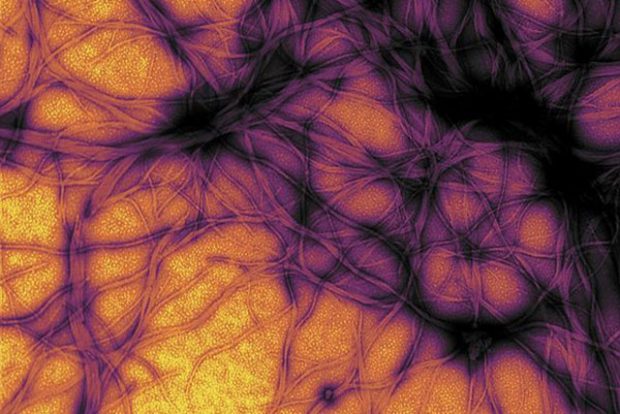Prions: Diseases and Treatment