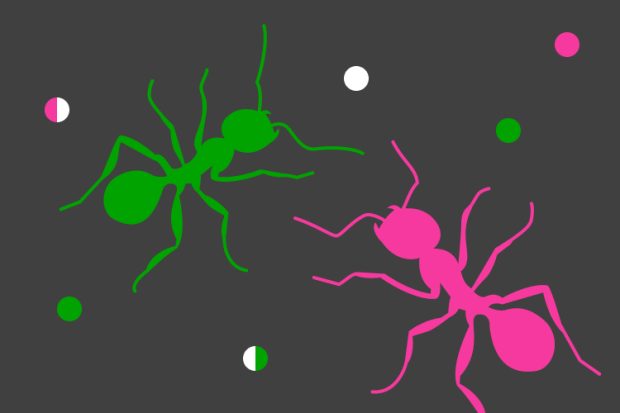 Ant Wars