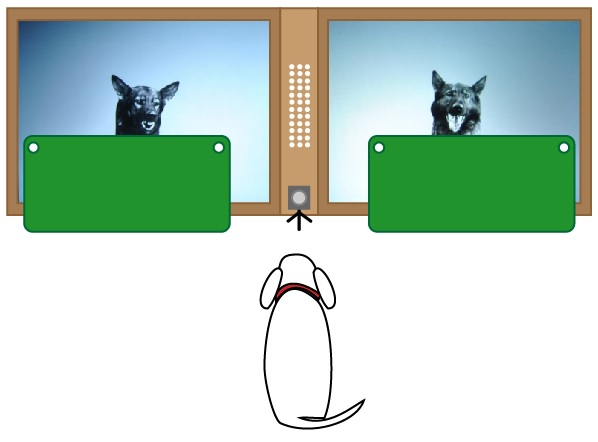 dogs on emotions