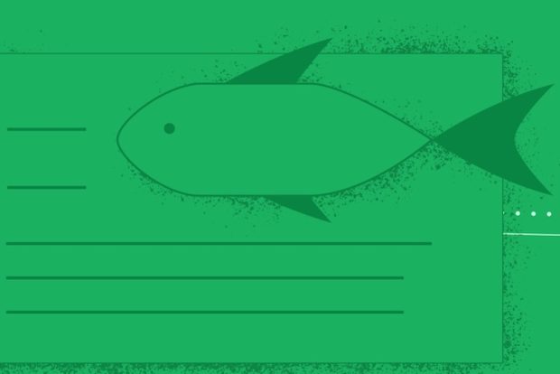 New Insights into Emotions in FIsh