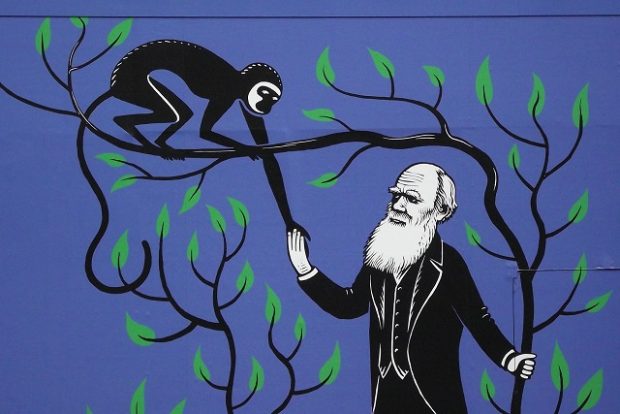 Theory of Evolution
