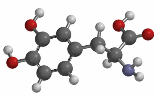 L-DOPA / Wikimedia Commons